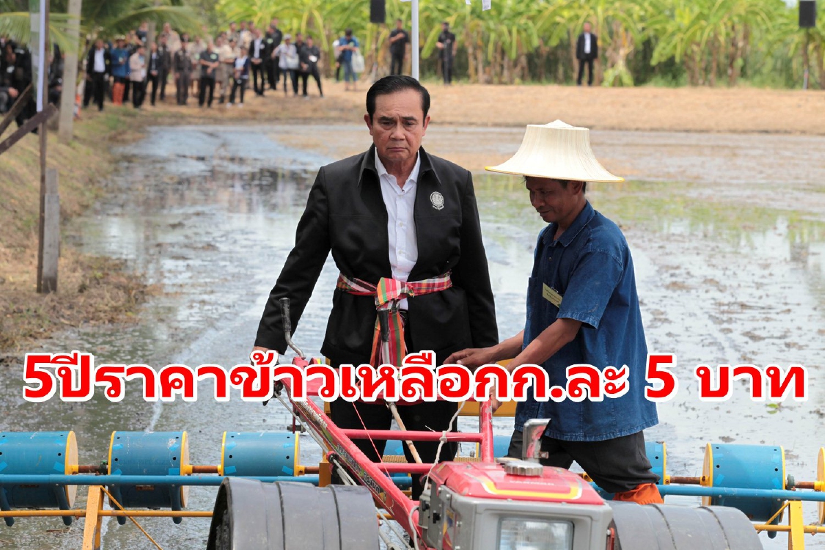 ทวงสัญญาประยุทธ์5ปีแก้ราคาข้าว ชี้วันนี้เหลือแค่กก.ละ5บาท ทวงสัญญาประยุทธ์5ปีแก้ราคาข้าว ชี้วันนี้เหลือแค่กก.ละ5บาท