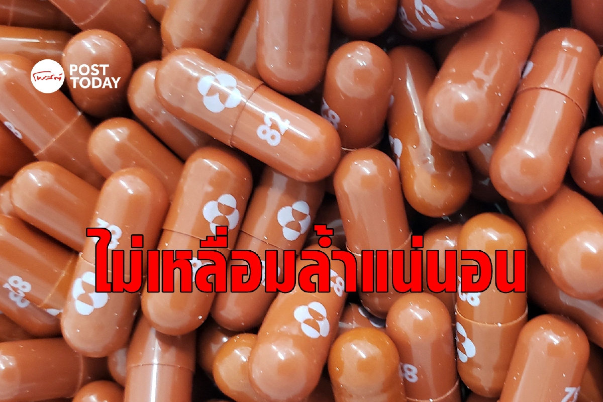 Merck ยันชาติยากจนได้ 'โมลนูพิราเวียร์ ' อย่างเท่าเทียม ไม่ซ้ำรอยวัคซีน Merck ยันชาติยากจนได้ 'โมลนูพิราเวียร์ ' อย่างเท่าเทียม ไม่ซ้ำรอยวัคซีน
