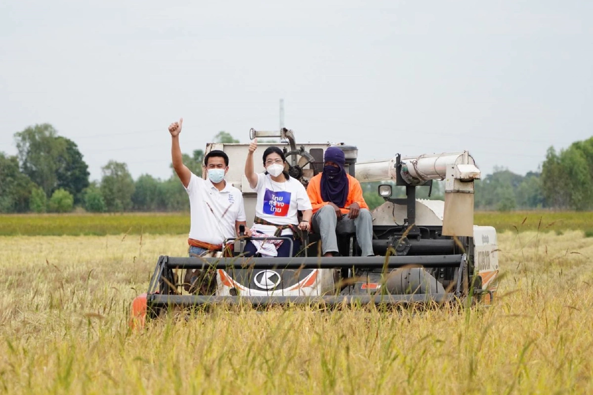ไทยสร้างไทยแนะรัฐบาลเร่งซื้อข้าวเปลือกนำตลาดแก้ราคาตกต่ำ