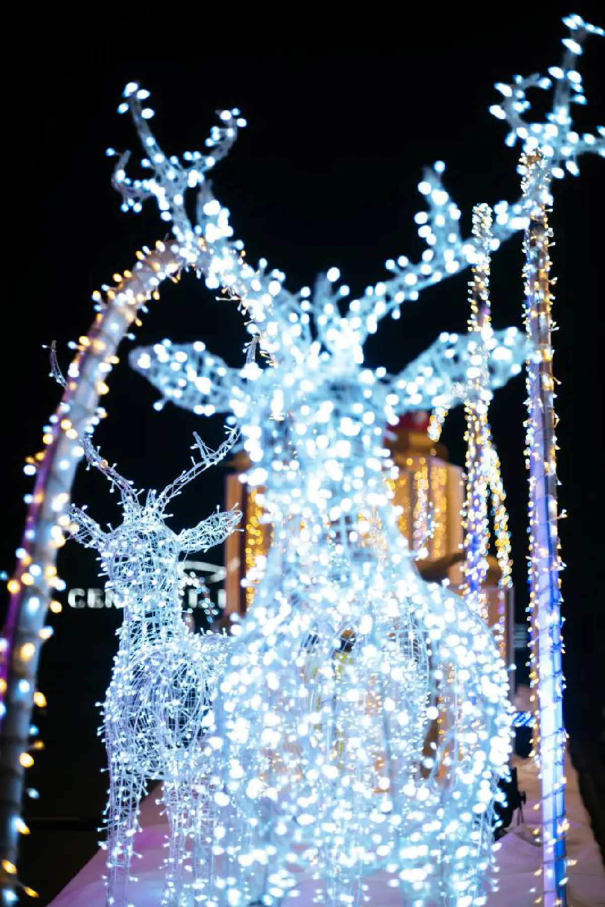 เริ่มแล้ว ‘คริสต์มาส พาร์ค’ ใจกลางเมือง กับช่วงเวลาที่วิเศษสุดในรอบปีและการเฉลิมฉลอง