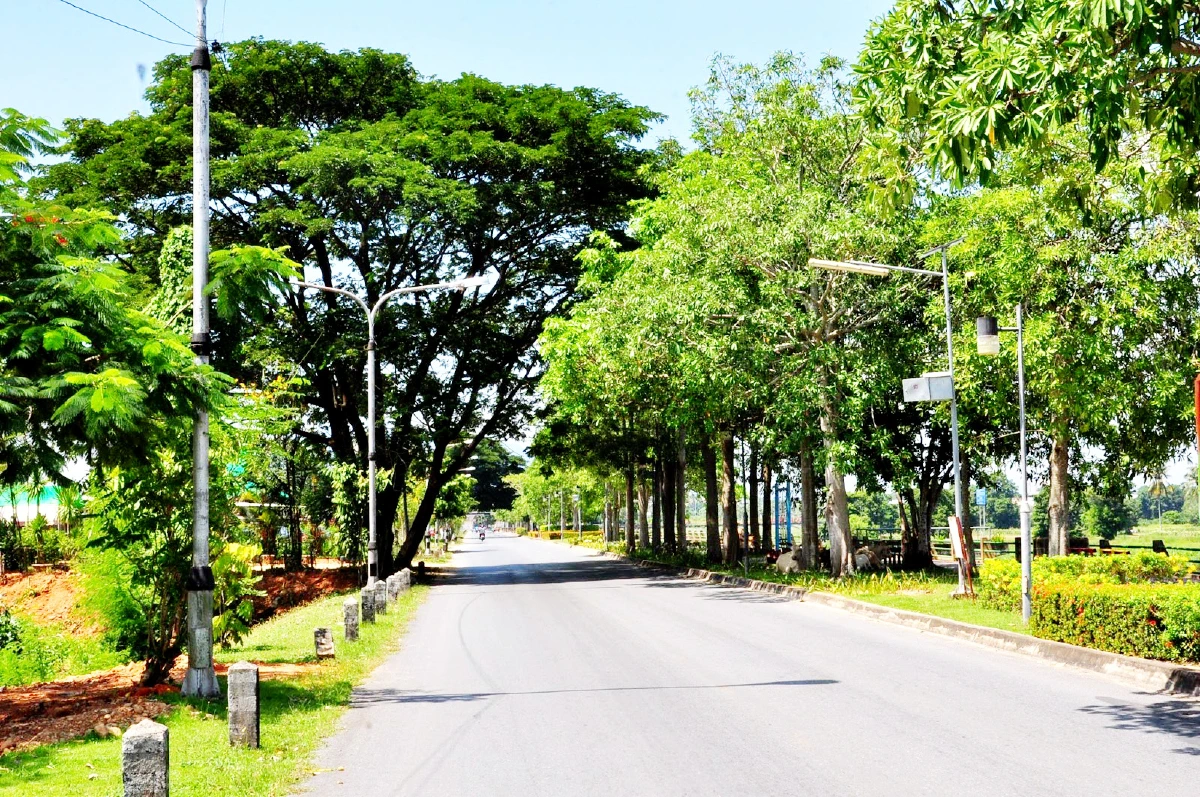 เทศบาลนครยะลาคว้ารางวัลชนะเลิศระดับประเทศด้านสิ่งแวดล้อม