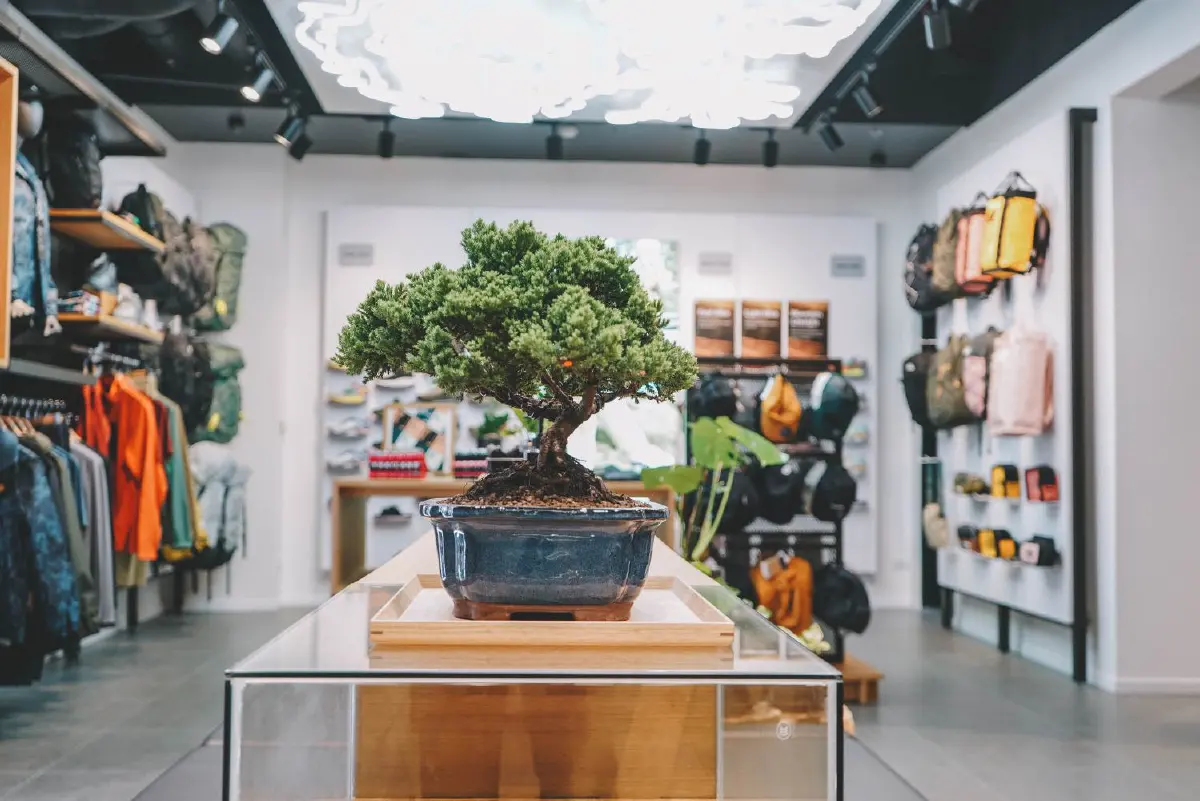 ออกไปค้นหาแรงบันดาลใจใหม่ที่ THE NORTH FACE NEW CONCEPT STORE