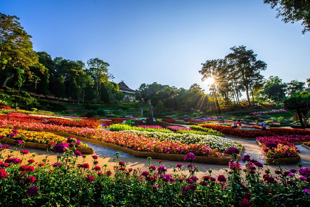 ชวนสัมผัสอากาศหนาวในงาน“สีสันแห่งดอยตุง ครั้งที่ 8”