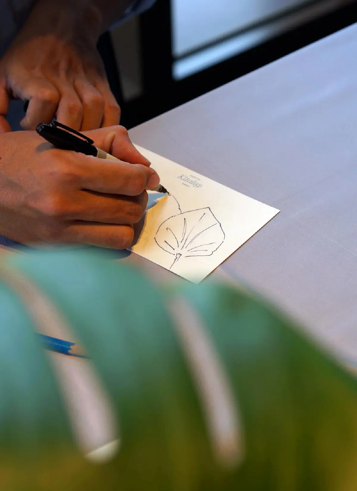 คิมป์ตัน คีตาเล สมุย รีสอร์ตแรกของแบรนด์คิมป์ตันในเอเชียตะวันออกเฉียงใต้