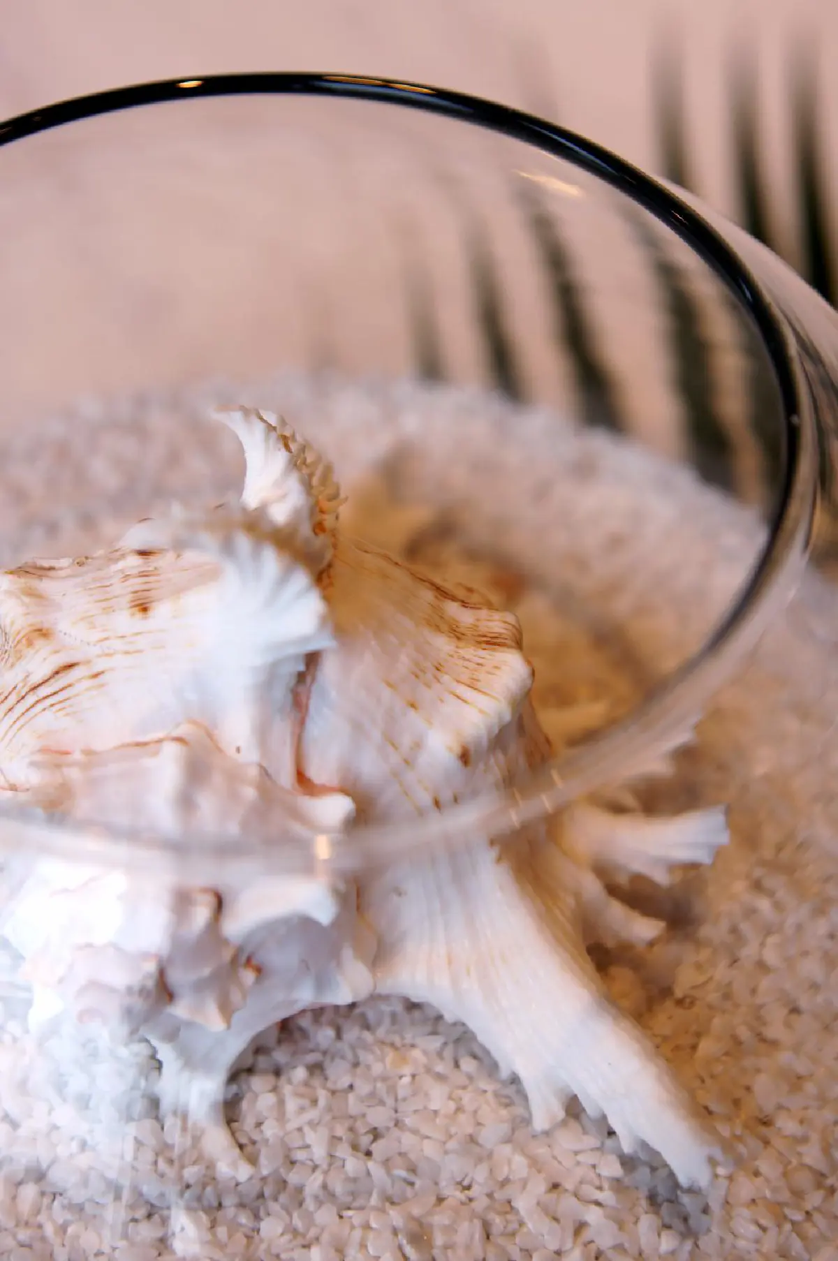 คิมป์ตัน คีตาเล สมุย รีสอร์ตแรกของแบรนด์คิมป์ตันในเอเชียตะวันออกเฉียงใต้