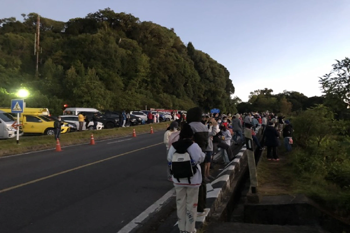 นักท่องเที่ยวแห่ชม"เหมยขาบ"ดอยอินทนนท์ อุณหภูมิลดต่ำ 5 องศา