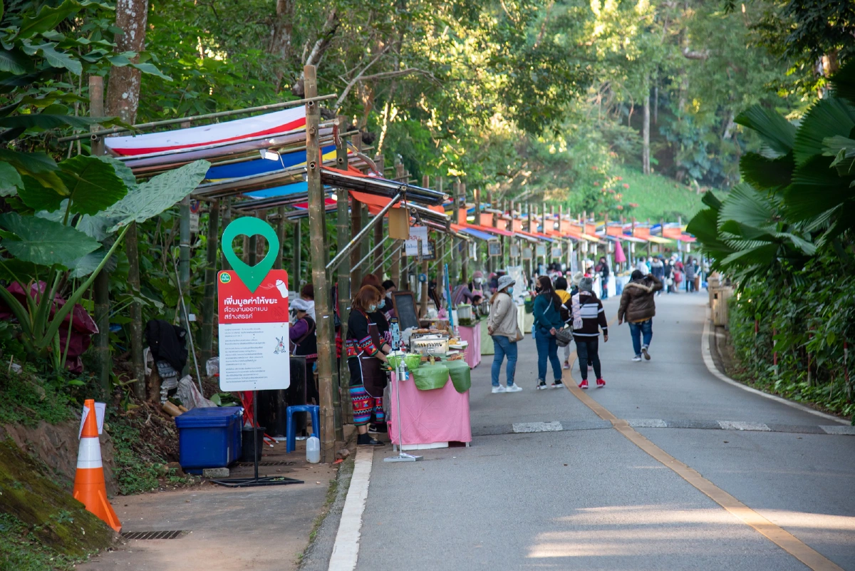 เริ่มแล้ว!งานสีสันแห่งดอยตุงชวนสัมผัสลมหนาวเฝ้าธรรมชาติ