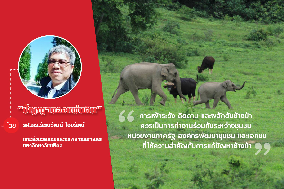 การเพิ่มประชากรและการกระจายของช้างป่าออกนอกพื้นที่อนุรักษ์ในประเทศไทย การเพิ่มประชากรและการกระจายของช้างป่าออกนอกพื้นที่อนุรักษ์ในประเทศไทย
