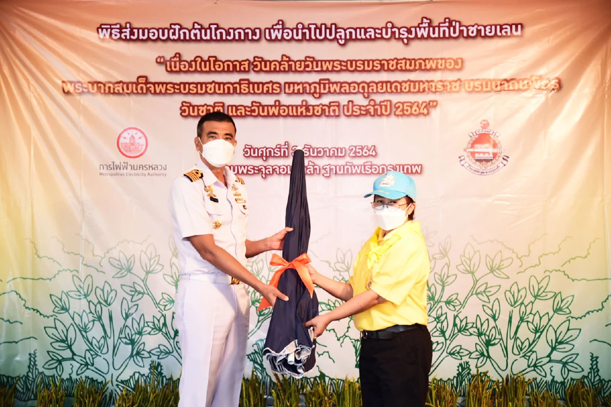 MEA จัดพิธีส่งมอบฝักโกงกาง นำไปปลูกและบำรุงพื้นที่ป่าชายเลน 