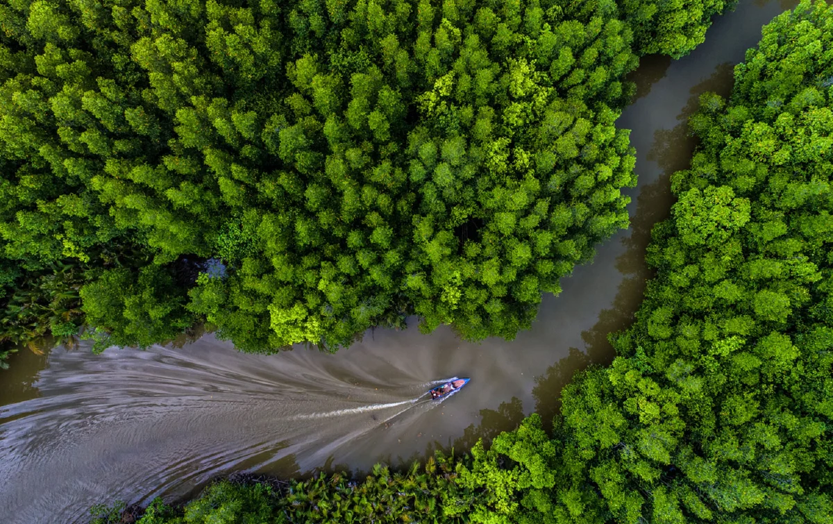 Dow เผยคู่มือเที่ยวป่าชายเลนด้วยตนเอง ฉบับรู้จริงฟินจัง