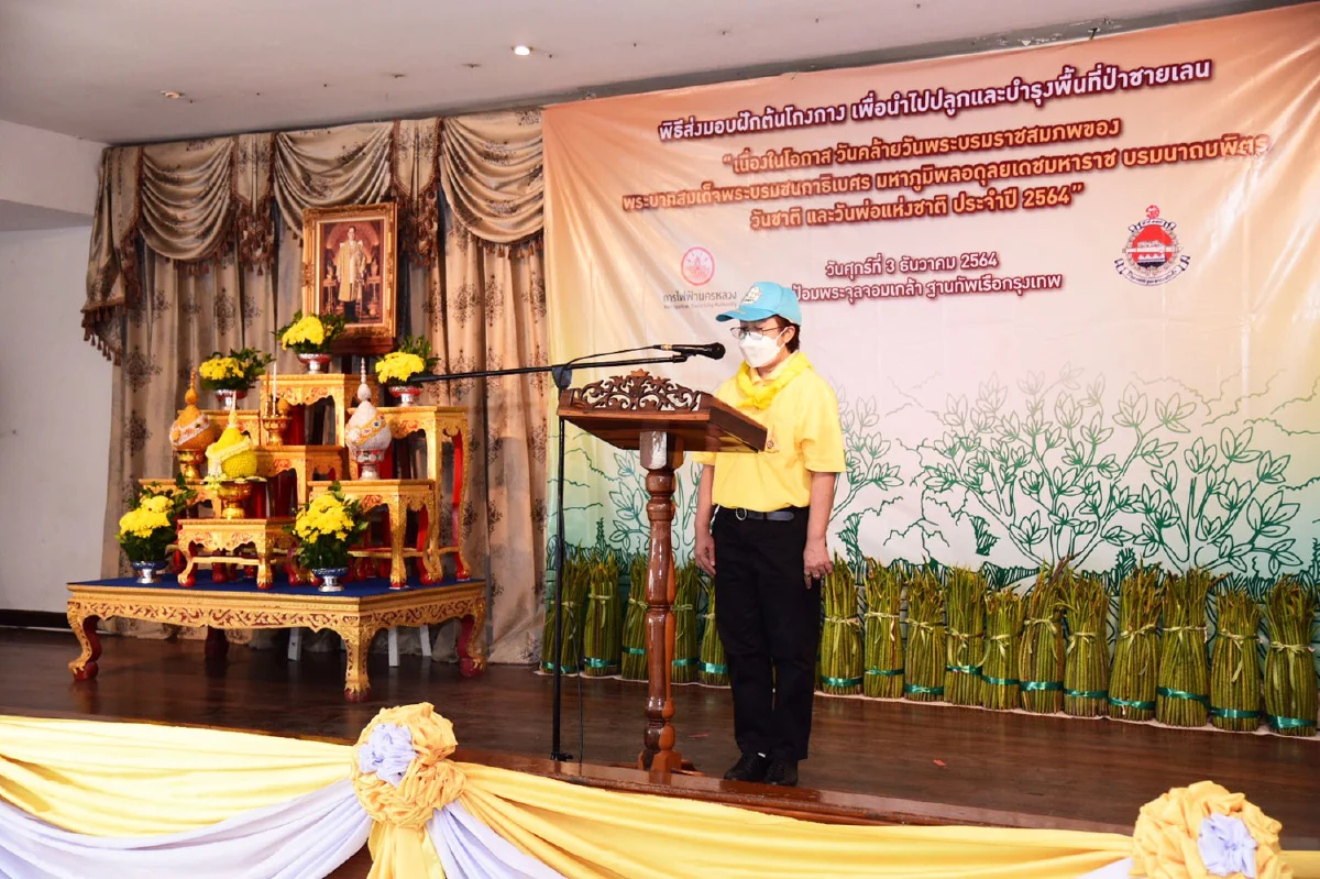 MEA จัดพิธีส่งมอบฝักโกงกาง นำไปปลูกและบำรุงพื้นที่ป่าชายเลน 
