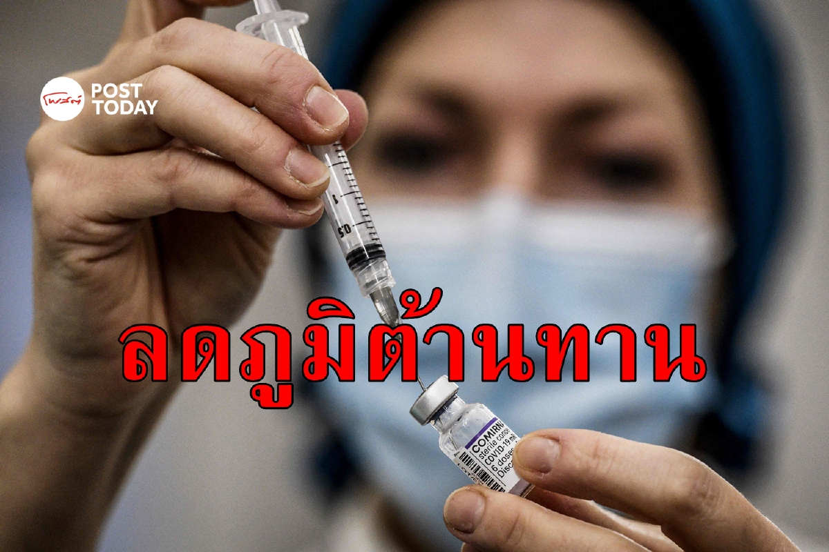 ผลศึกษาชี้แอนติบอดีจาก Pfizer ลดลงมากเมื่อเจอ Omicron ผลศึกษาชี้แอนติบอดีจาก Pfizer ลดลงมากเมื่อเจอ Omicron