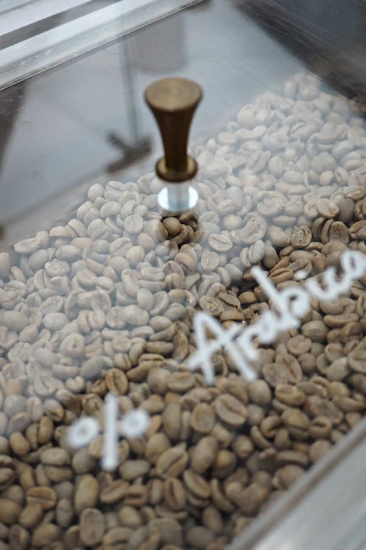 % Arabica : See the World through Coffee เมื่อกาแฟหลอมรวมเข้ากับไลฟ์สไตล์