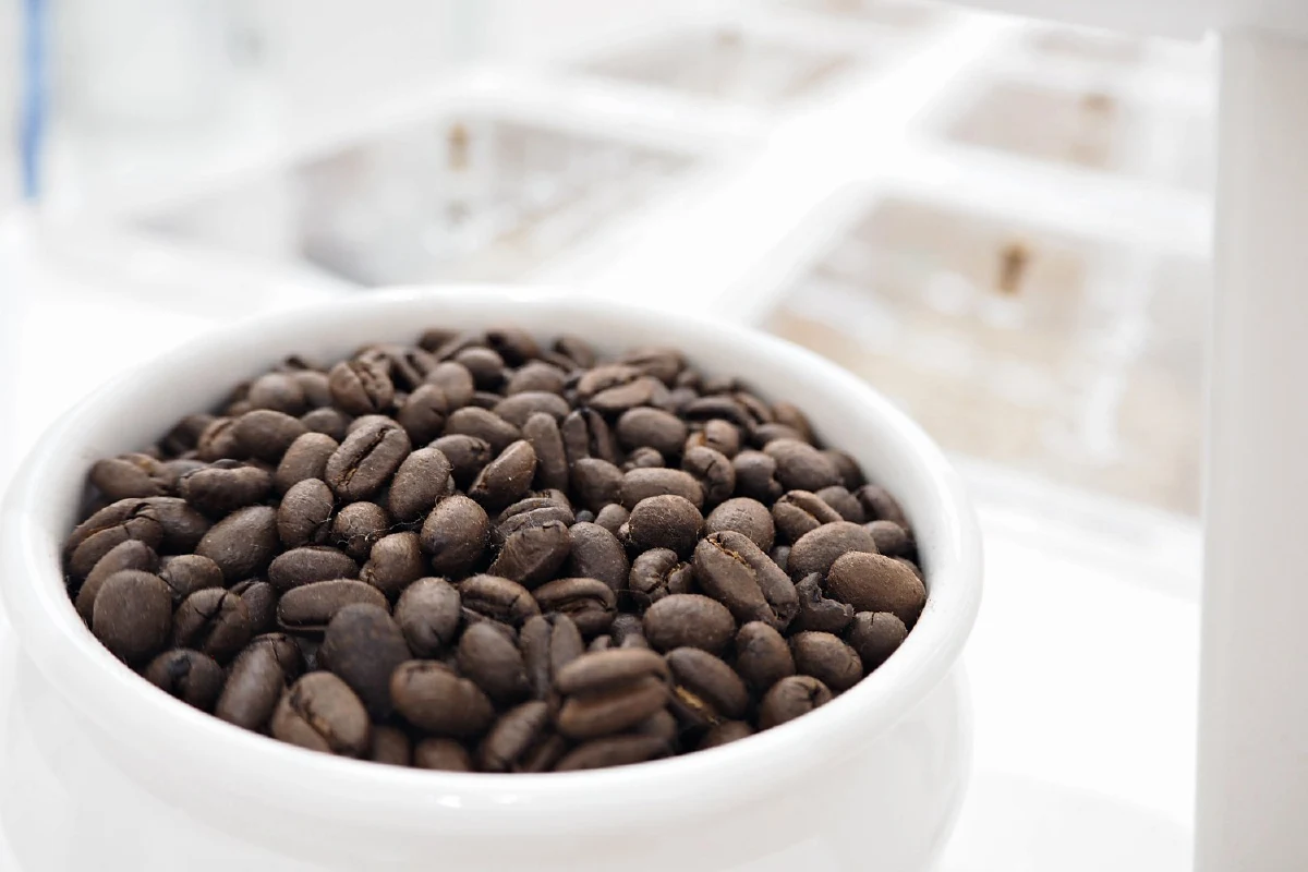 % Arabica : See the World through Coffee เมื่อกาแฟหลอมรวมเข้ากับไลฟ์สไตล์