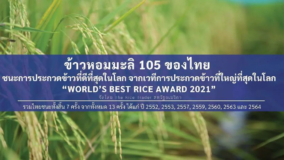 ไทยคว้าแชมป์โลกข้าวหอมมะลิ 2 ปีซ้อน ลุ้นส่งออกปีนี้ข้าวทะลุเป้า 6 ล้านตัน