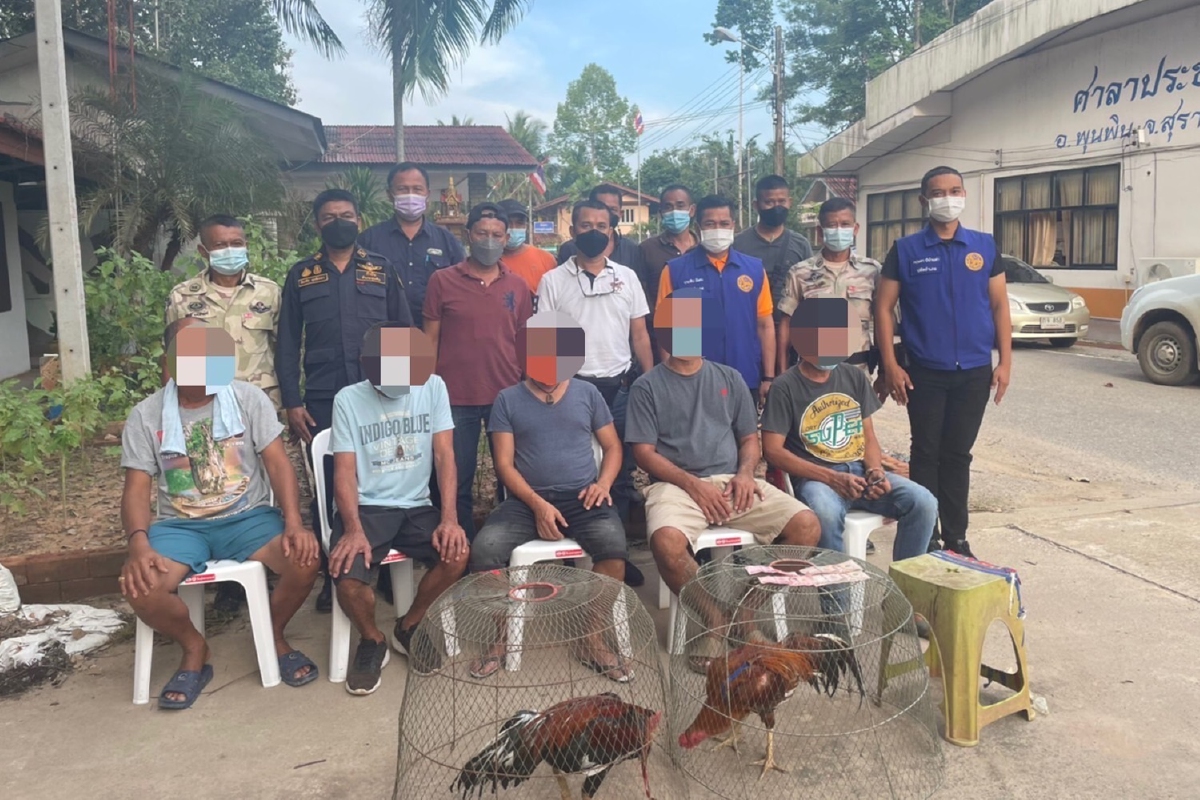 สุราษฎร์ฯจับนักพนันชนไก่ฝ่าฝืนคำสั่งโควิด สุราษฎร์ฯจับนักพนันชนไก่ฝ่าฝืนคำสั่งโควิด