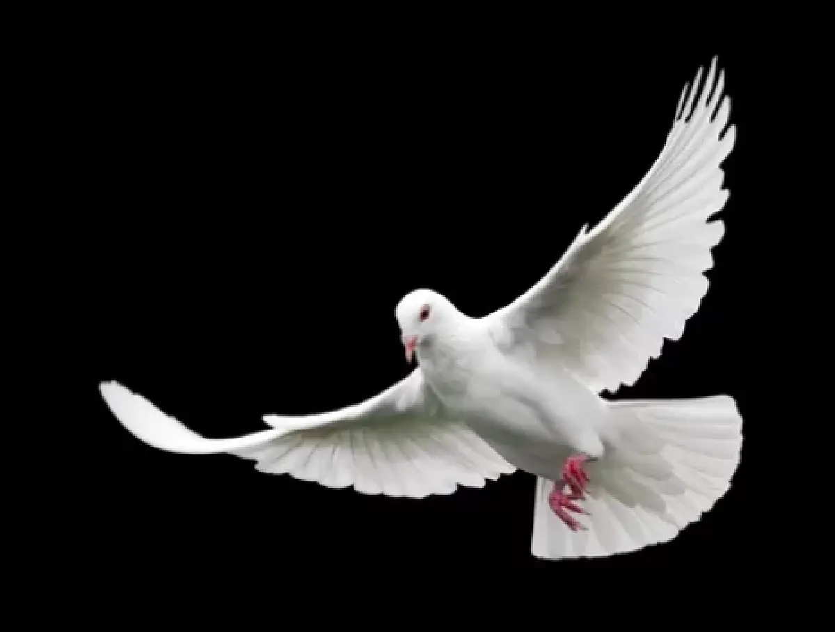 กำเนิด “กรรมาชน”