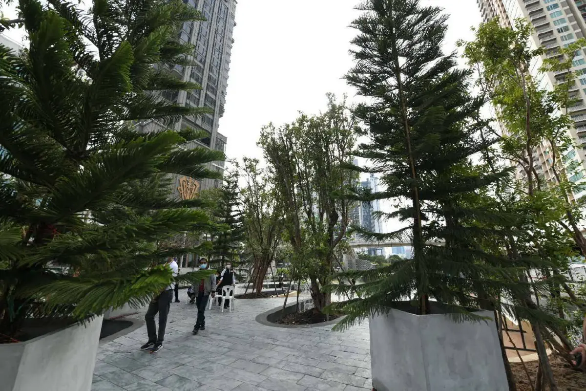สวนสาธารณะคลองช่องนนทรีคืบหน้า70%คาดเปิดใช้คริสต์มาสปีนี้