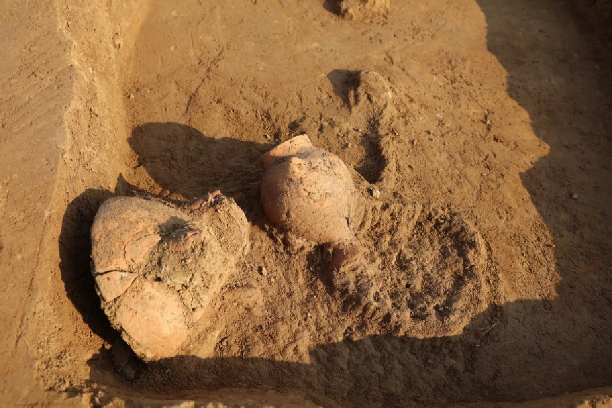 กินเหล้ากันมาเกือบหมื่นปี จีนพบซากกาก ‘เหล้า’ อายุ 8,000 ปี