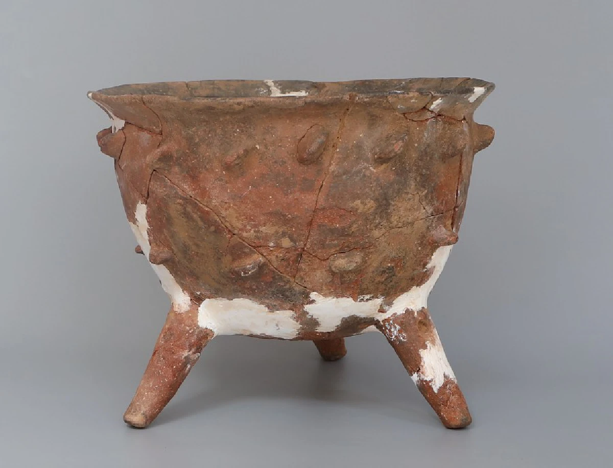 กินเหล้ากันมาเกือบหมื่นปี จีนพบซากกาก ‘เหล้า’ อายุ 8,000 ปี