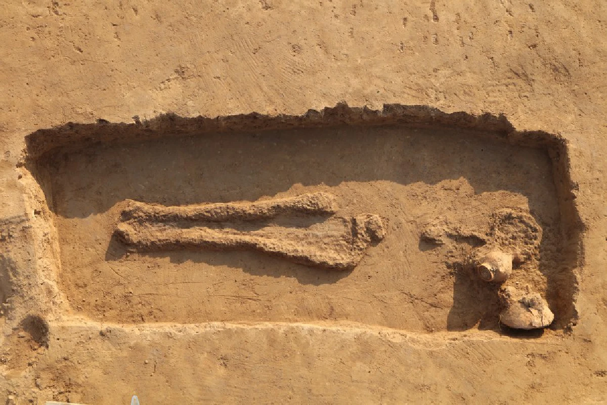 กินเหล้ากันมาเกือบหมื่นปี จีนพบซากกาก ‘เหล้า’ อายุ 8,000 ปี