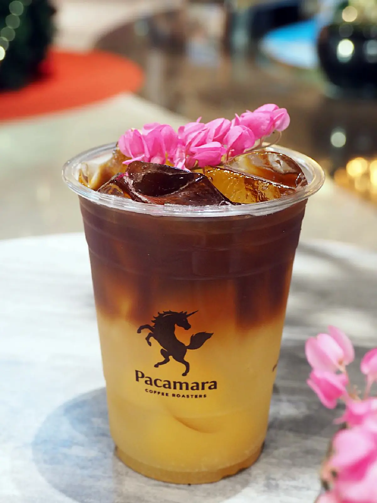 ไขรหัสความสมบูรณ์แบบของโลกกาแฟ @Pacamara Coffee Roasters