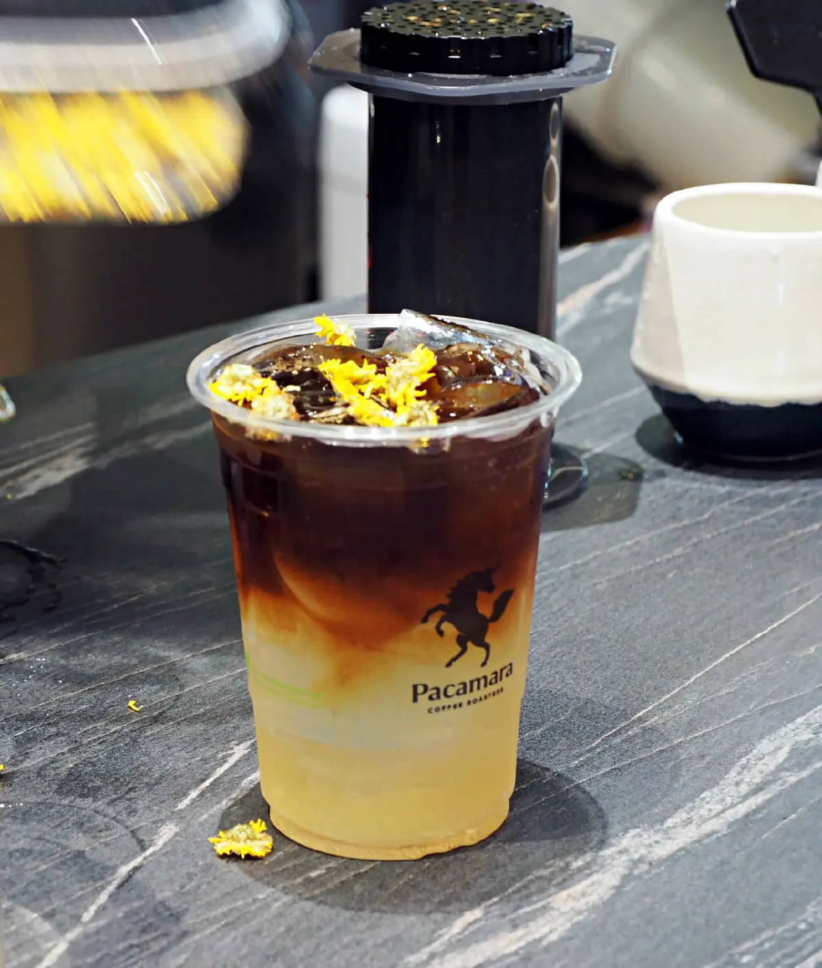 ไขรหัสความสมบูรณ์แบบของโลกกาแฟ @Pacamara Coffee Roasters