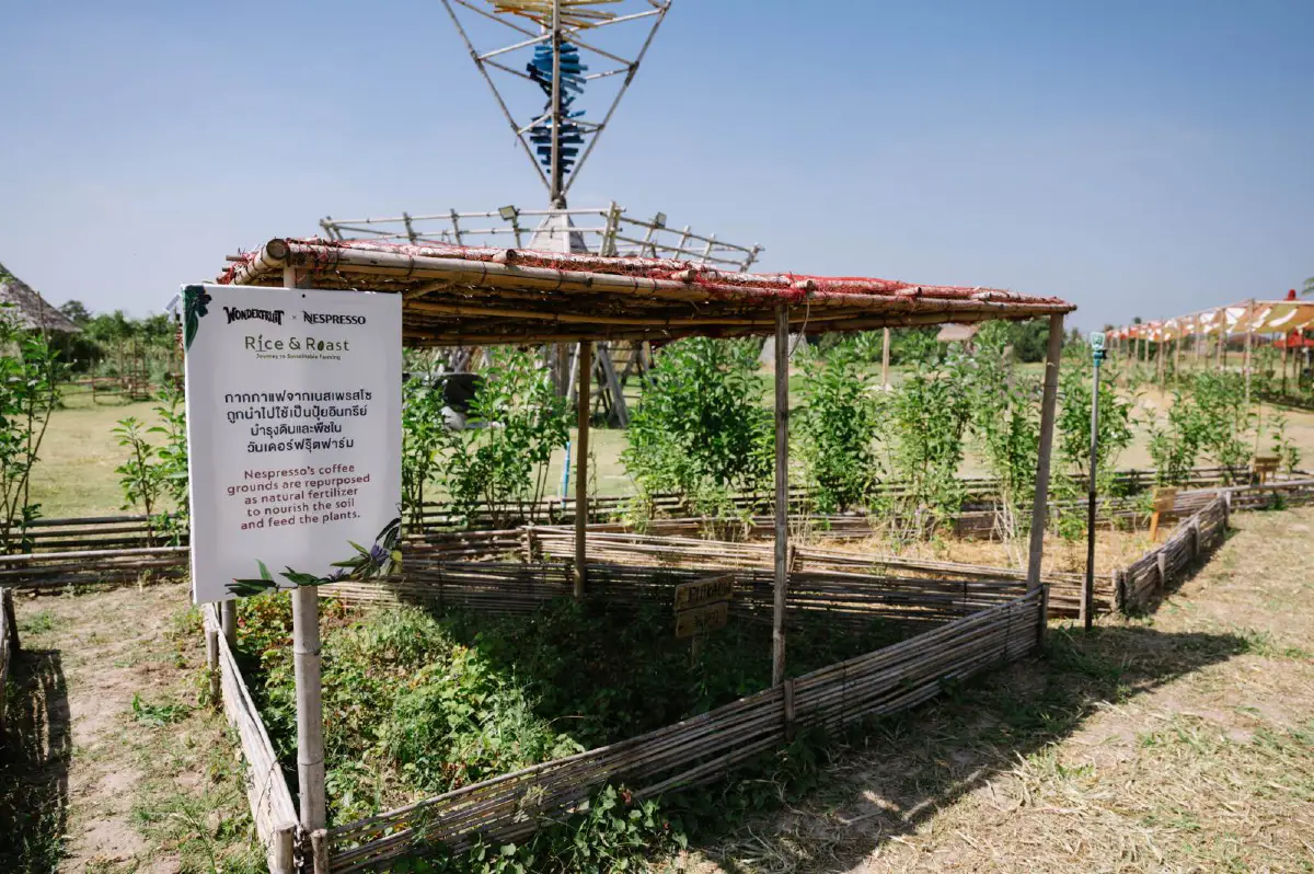 เปิดโมเดลความยั่งยืน จาก'กาแฟ' สู่ 'ฟาร์ม'