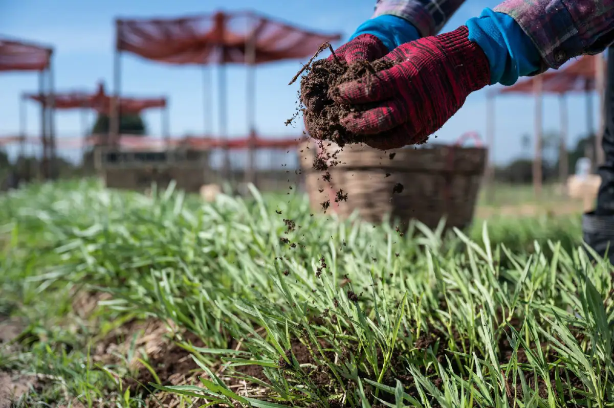 เปิดโมเดลความยั่งยืน จาก'กาแฟ' สู่ 'ฟาร์ม'
