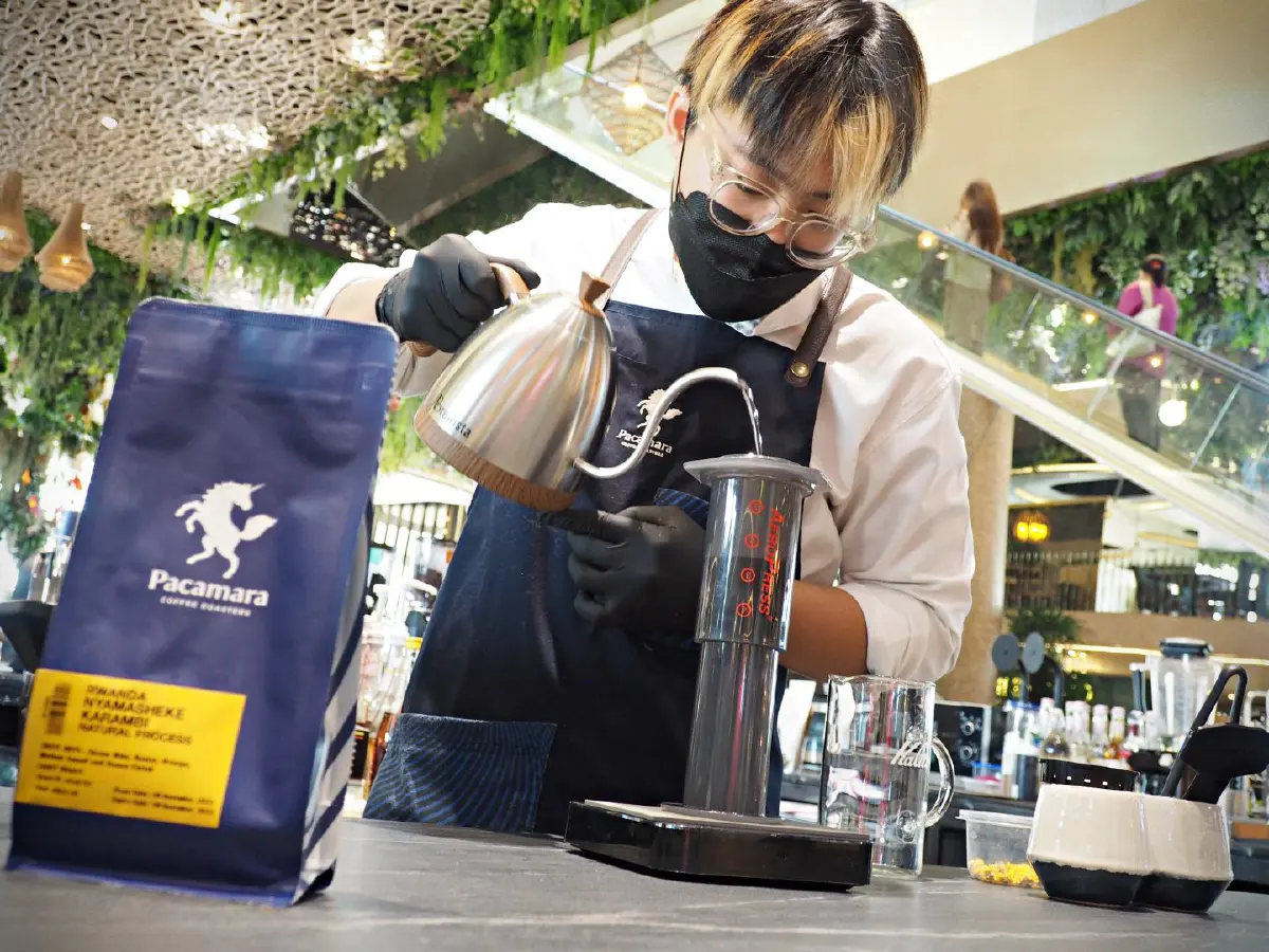 ไขรหัสความสมบูรณ์แบบของโลกกาแฟ @Pacamara Coffee Roasters