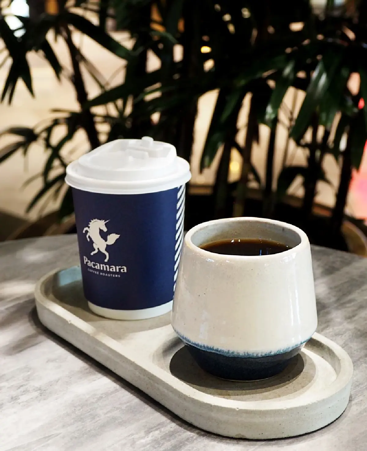 ไขรหัสความสมบูรณ์แบบของโลกกาแฟ @Pacamara Coffee Roasters