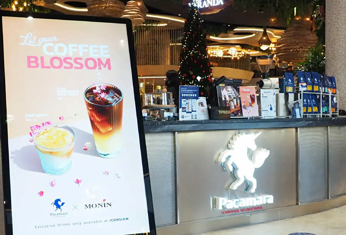 ไขรหัสความสมบูรณ์แบบของโลกกาแฟ @Pacamara Coffee Roasters