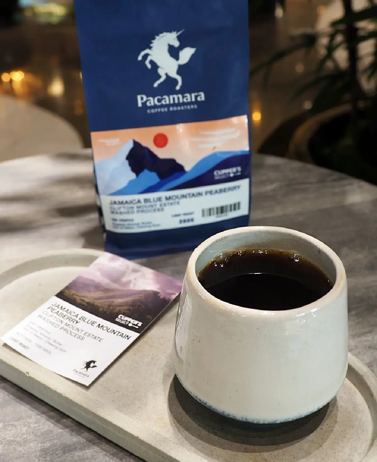 ไขรหัสความสมบูรณ์แบบของโลกกาแฟ @Pacamara Coffee Roasters