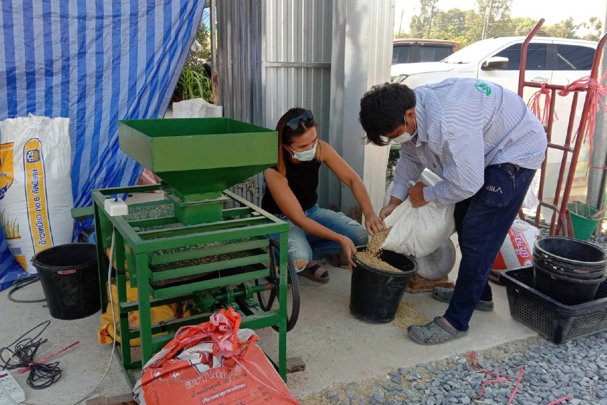 ชาวนาสีข้าวขายเองแก้ปัญหาราคาตกต่ำ