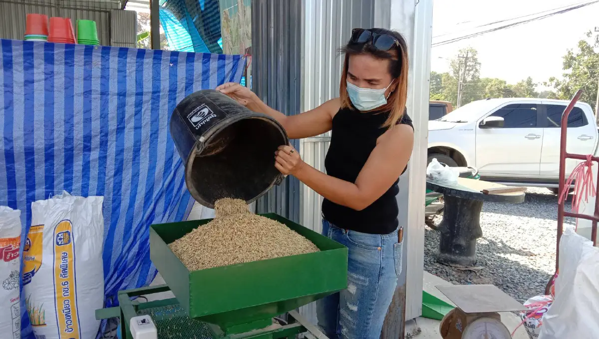 ชาวนาสีข้าวขายเองแก้ปัญหาราคาตกต่ำ