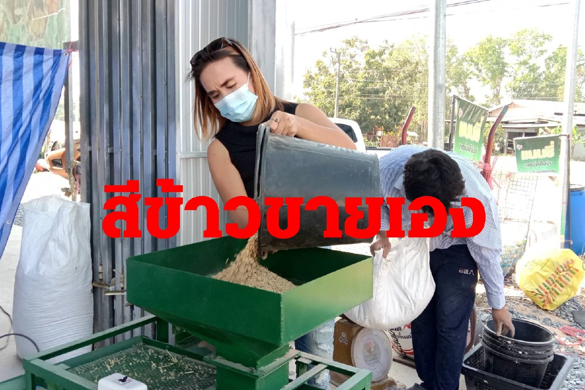 ชาวนาสีข้าวขายเองแก้ปัญหาราคาตกต่ำ ชาวนาสีข้าวขายเองแก้ปัญหาราคาตกต่ำ