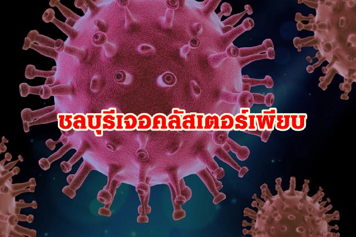 "โควิดชลบุรี"ติดเชื้อพุ่ง 180 ราย พบคลัสเตอร์เพียบ "โควิดชลบุรี"ติดเชื้อพุ่ง 180 ราย พบคลัสเตอร์เพียบ