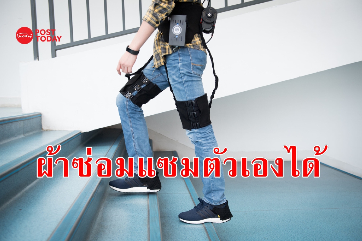 สุดล้ำ! จีนใช้ ‘แบคทีเรีย’ พัฒนา ‘ผ้าซ่อมแซมตัวเองได้’ สุดล้ำ! จีนใช้ ‘แบคทีเรีย’ พัฒนา ‘ผ้าซ่อมแซมตัวเองได้’