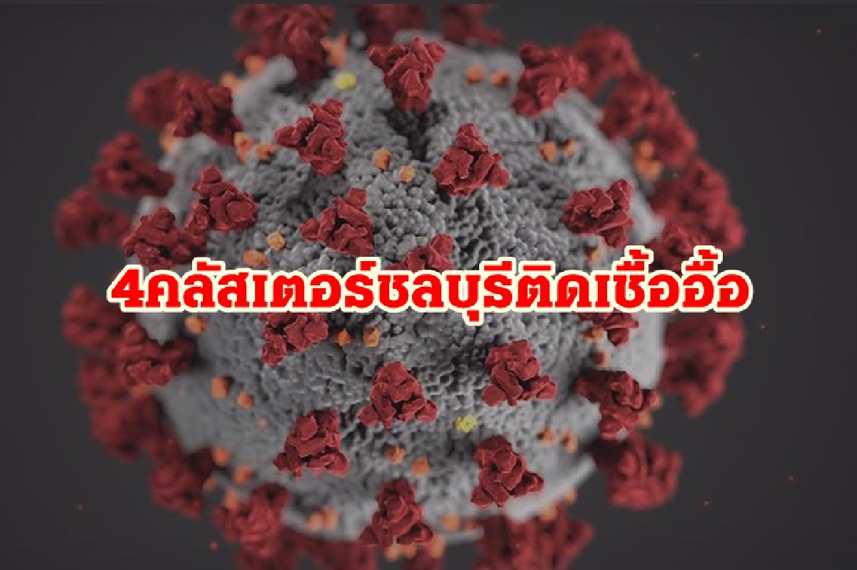 โควิดชลบุรีพุ่ง! ติดเชื้อใหม่ 214 ราย พบ 4 คลัสเตอร์บริษัทใหญ่ป่วยอื้อ โควิดชลบุรีพุ่ง! ติดเชื้อใหม่ 214 ราย พบ 4 คลัสเตอร์บริษัทใหญ่ป่วยอื้อ