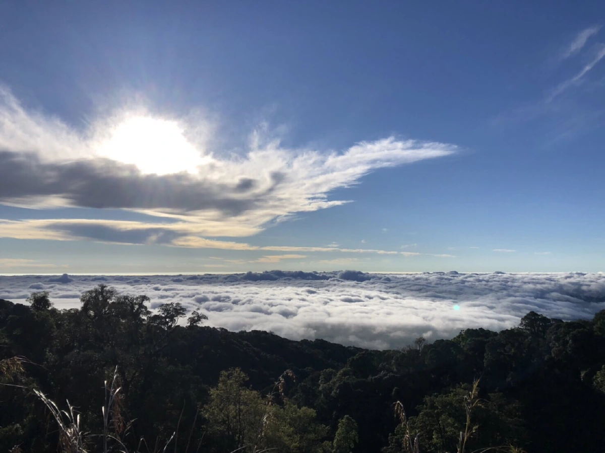 นักท่องเที่ยวแน่นเชียงใหม่ไปสัมผัสอากาศหนาวบนยอดดอย