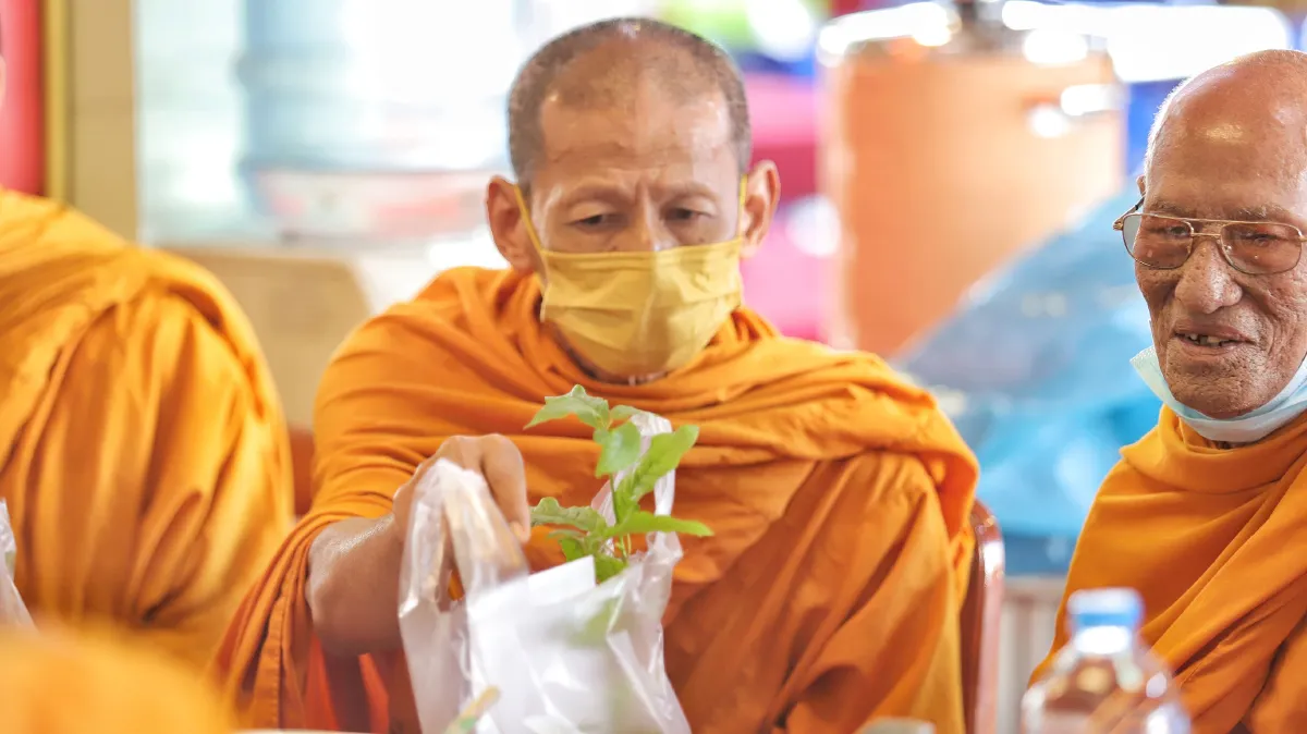 "ลุงชาญ"นักการเมืองดังเมืองปทุมทำเท่แจกต้นกระท่อมวันเกิด