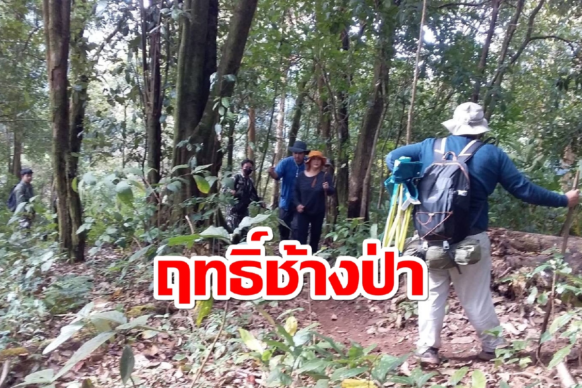 ระทึก!ช้างป่ารุมตืบนักศึกษาธรรมชาติน่วมบนดอยม่อนจอง ระทึก!ช้างป่ารุมตืบนักศึกษาธรรมชาติน่วมบนดอยม่อนจอง