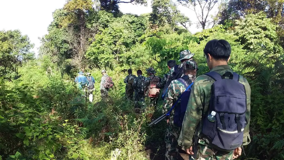 ระทึก!ช้างป่ารุมตืบนักศึกษาธรรมชาติน่วมบนดอยม่อนจอง