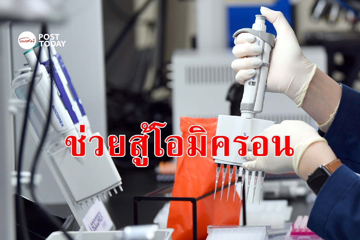 วิจัยพบ T-cell ช่วยต้าน Omicron เมื่อไวรัสหลบแอนติบอดี วิจัยพบ T-cell ช่วยต้าน Omicron เมื่อไวรัสหลบแอนติบอดี