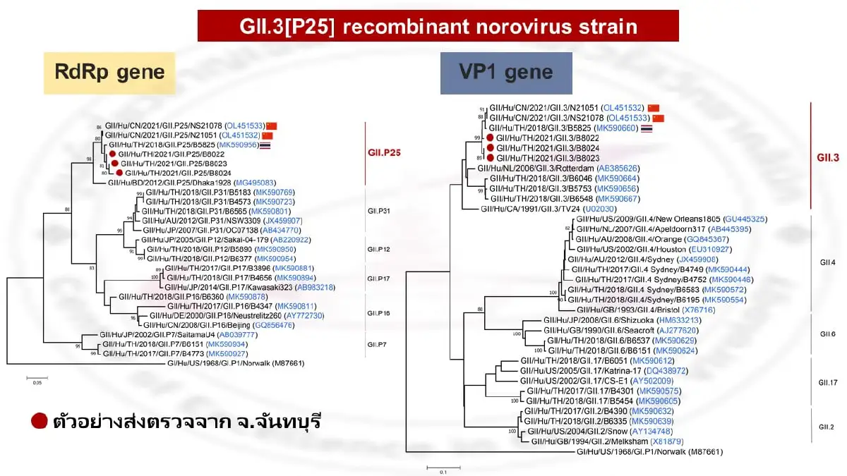 รู้จัก "โนโรไวรัส" โรคท้องเสียที่กำลังระบาดในภาคตะวันออกของไทย