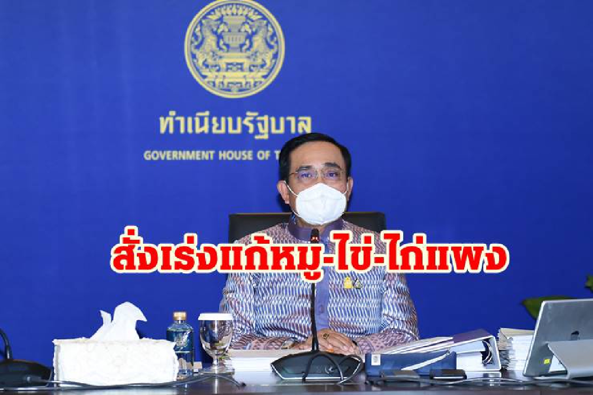 นายกฯ ติดตามสถานการณ์ หมู-ไก่-ไข่แพง สั่งเร่งแก้ปัญหา นายกฯ ติดตามสถานการณ์ หมู-ไก่-ไข่แพง สั่งเร่งแก้ปัญหา