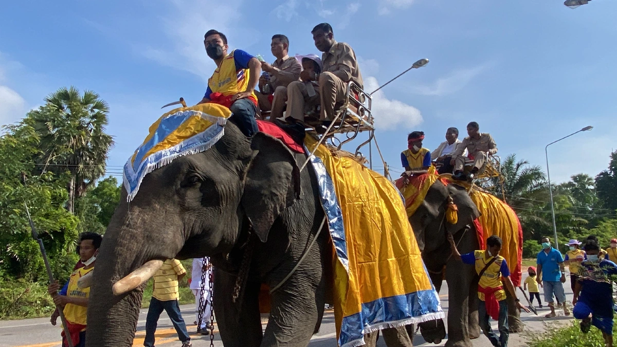 นายกอบต.สมัยแรกทำเซอร์ไพรส์ขี่ช้างเข้าประชุมสภานัดแรก 