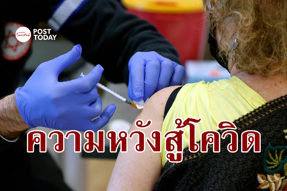 เมื่อหวัดธรรมดาสู้โควิดได้ T-cells คือกุญแจสู่วัคซีนสูตรสอง เมื่อหวัดธรรมดาสู้โควิดได้ T-cells คือกุญแจสู่วัคซีนสูตรสอง