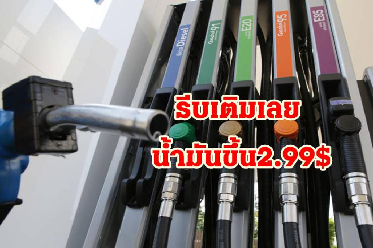 น้ำมันปิดพุ่งแรง/หุ้นบวก/ทองขึ้น น้ำมันปิดพุ่งแรง/หุ้นบวก/ทองขึ้น