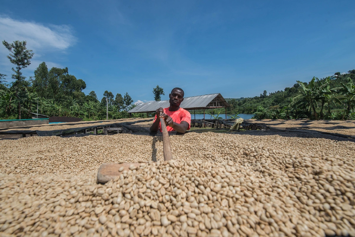Made with Care ชวนคอกาแฟดื่มด่ำรสชาติความใส่ใจ